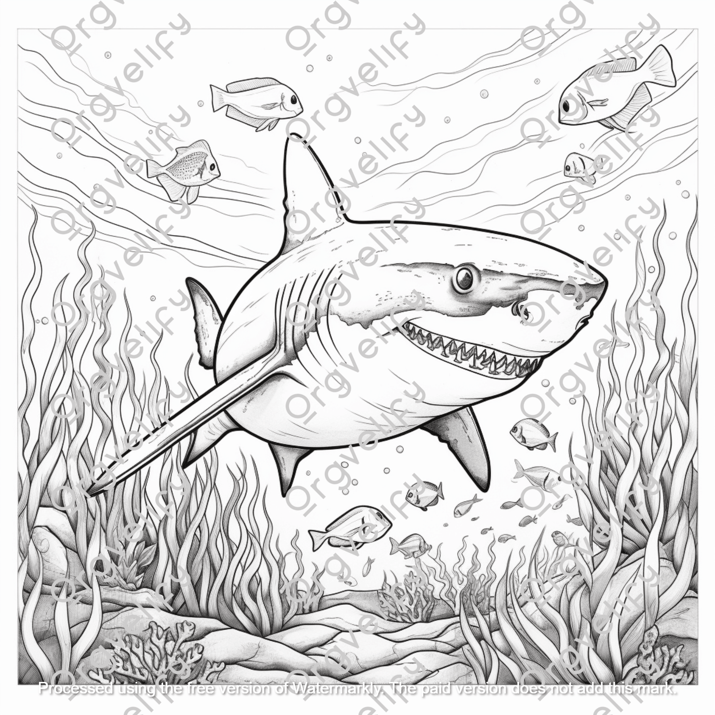 All About Sharks Coloring Book - Orgvelify